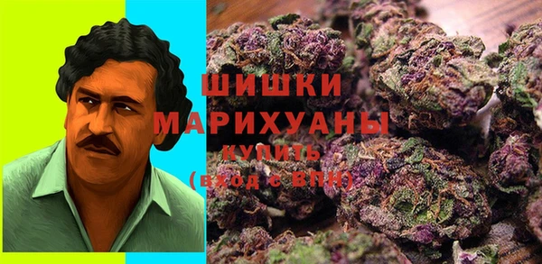 гашик Верея