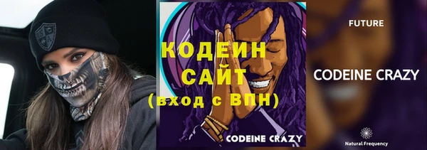 гашик Верея