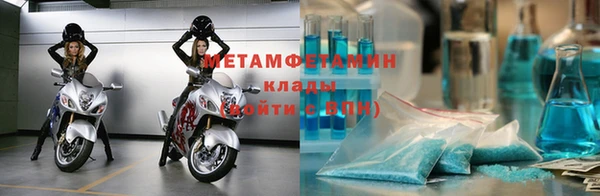 прущие грибы Верхний Тагил
