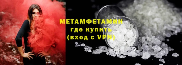 прущие грибы Верхний Тагил