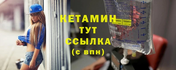 гашик Верея