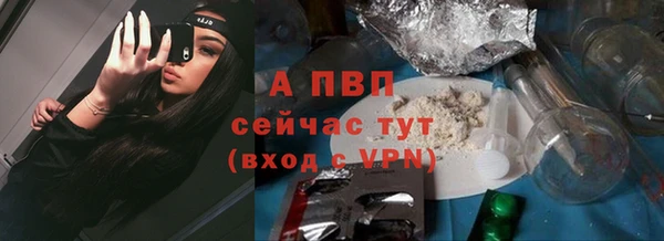 гашик Верея