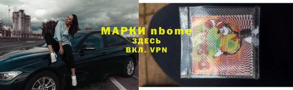 прущие грибы Верхний Тагил