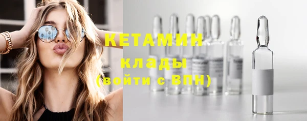 прущие грибы Верхний Тагил