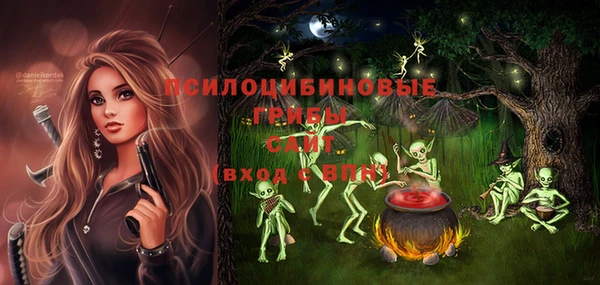 прущие грибы Верхний Тагил