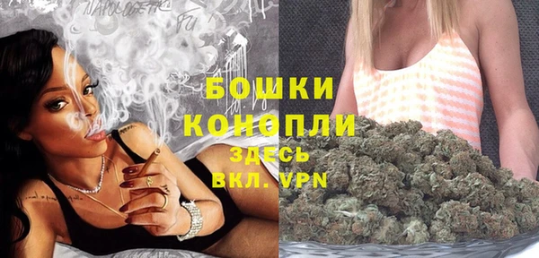 гашик Верея