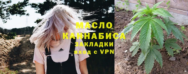 прущие грибы Верхний Тагил