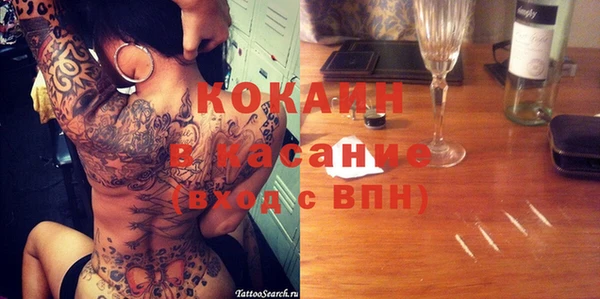 прущие грибы Верхний Тагил