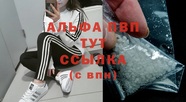 прущие грибы Верхний Тагил