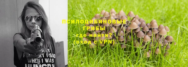 гашик Верея