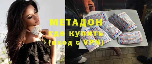 прущие грибы Верхний Тагил