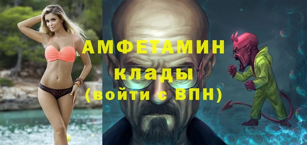 прущие грибы Верхний Тагил